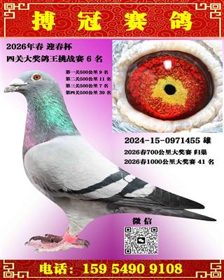 �Ĺظ���6��