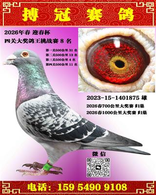 �Ĺظ���8��