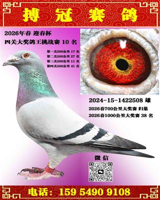 �Ĺظ���10��