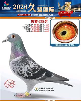 2026�����С����ɼ���