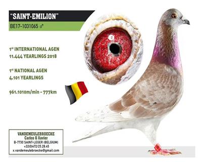 18�갢��11572����ʹھ�