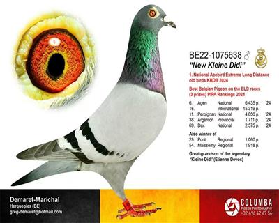 24��KBDB��������ȫ�������ھ�