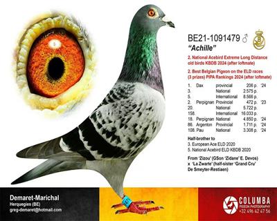 24��KBDB������������Ǿ�