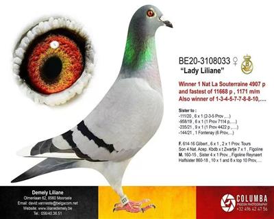 ��������4907��ȫ���ھ�