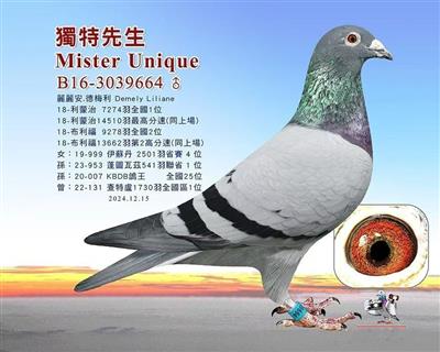 �ر�����