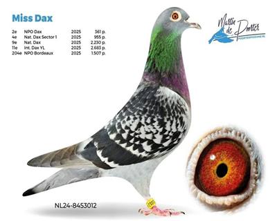 ����˹2230��ھ�