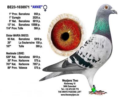 ��������5819��ȫ��5��