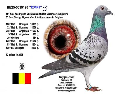 �г������������