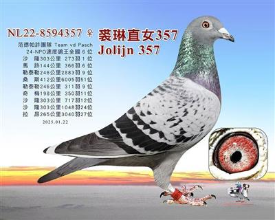 ���ð�NPO�ٶȸ�ȫ���ھ�