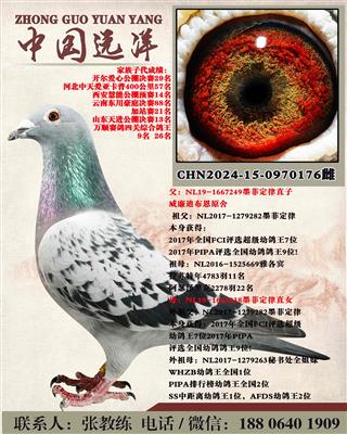 ī�ƶ���ֱ��xī�ƶ���ֱŮ