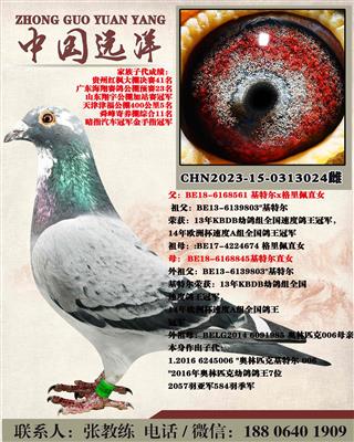 ���ض�ֱ��x���ض�ֱŮ