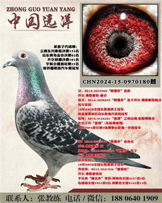 ������ֱ��x������ֱ��Ů