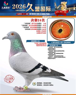 ɣ��ʿ ���˴���С�����24��