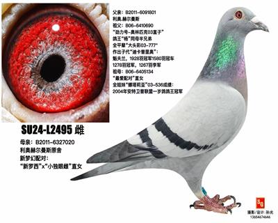 ����2495