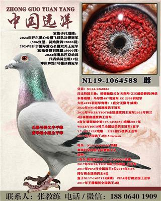 ���޺Ű�ƽ��