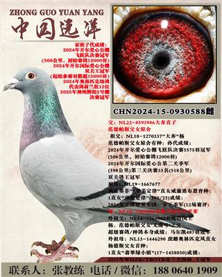 ��ֱ��x���޺Ű�ƽ��