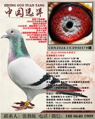 ��ֱ��x���޺Ű�ƽ��