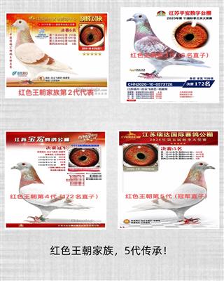 �¹�Ѫ��ɫ��������