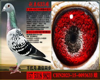 ����ƥ��003ֱ����Ͽ������ֱŮ