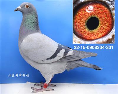 ����˫�ظ���5��֮ĸ