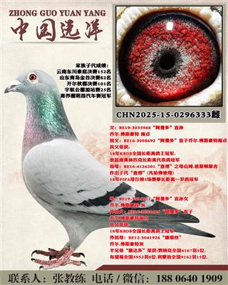 ������ֱ��x������ֱ��Ů