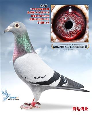 Ȫ�ι������123��