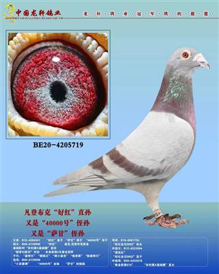 �������ǲ��˻��ض�����