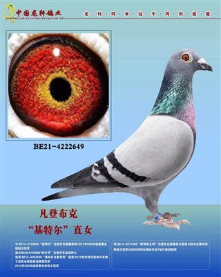 �������ǲ��˻��ض�����