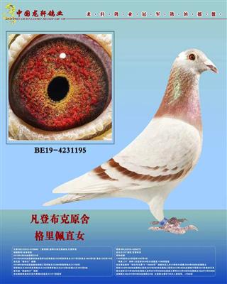 ���ǲ��ˡ������塱ֱŮ