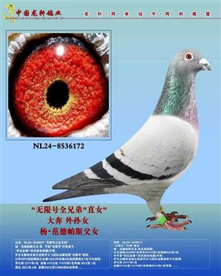 ��.������˹��Ů���޺�ֱŮ