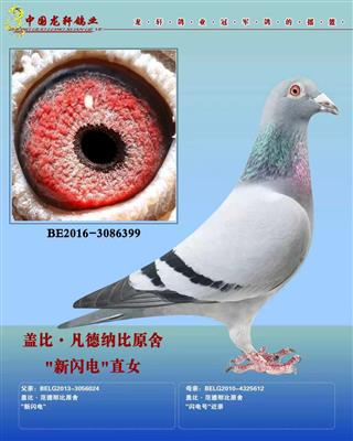 �Ǳ�.�����Ǳȡ������硱ֱŮ