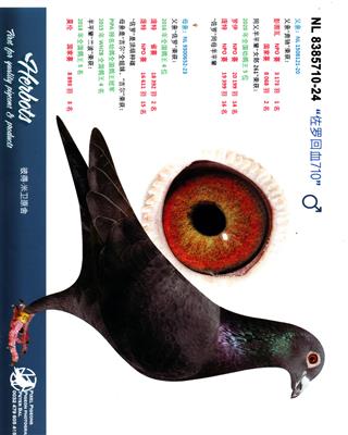 ���޻�Ѫ710
