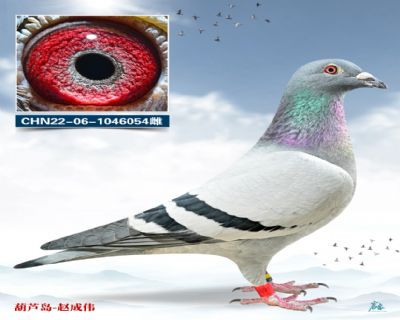 ���۷���007ֱŮ