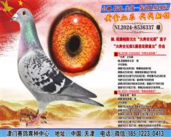 正在火热拍卖中 图片3