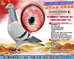 正在火热拍卖中 图片4