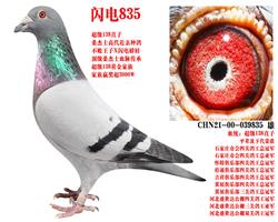 ˫�ظ����Ǿ���������