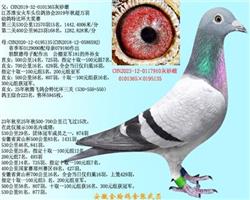 安德烈.勃默德0401305 图片2