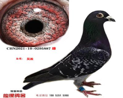 吴淞04 图片6