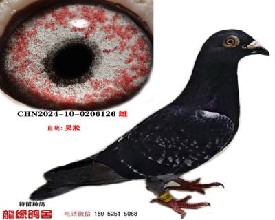 吴淞04 图片5