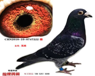 吴淞04 图片4