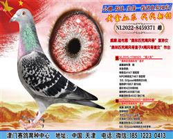 火热竞拍中... 图片4
