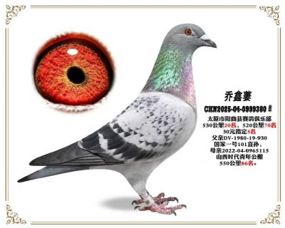 530����  20��
