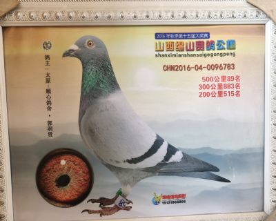 ����500����89��