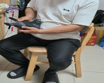 ͼƬ