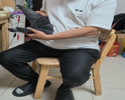 ͼƬ
