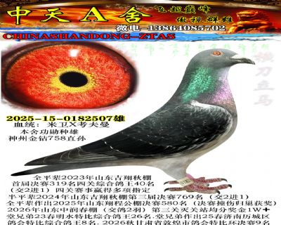 �ڰ�����507