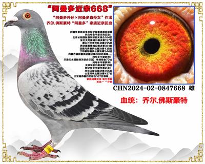 ��������׻�Ѫ668