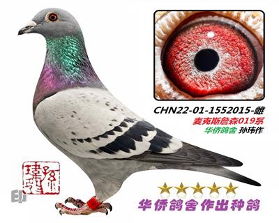 ���˹ղɭ019ϵ��ղɭ015�š�