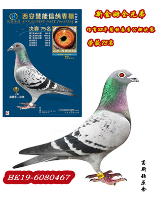 ԭ�ᡰ�½�ķ���ֵ�