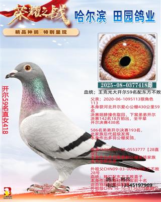 飞戈不败014 图片4